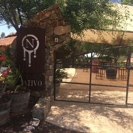 Guest House Nativo - Charming, Cozy & Affordable Valle de Guadalupe Exteriör bild