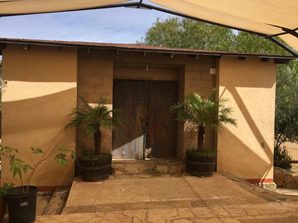 Guest House Nativo - Charming, Cozy & Affordable Valle de Guadalupe Exteriör bild
