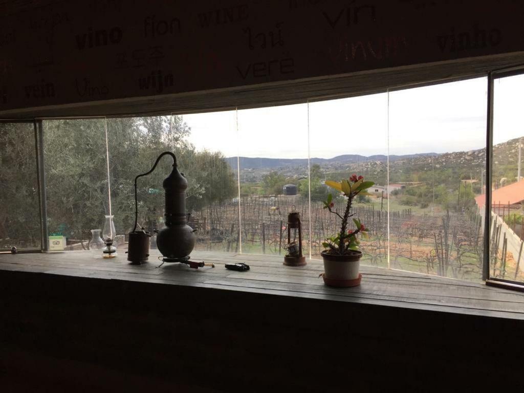 Guest House Nativo - Charming, Cozy & Affordable Valle de Guadalupe Exteriör bild