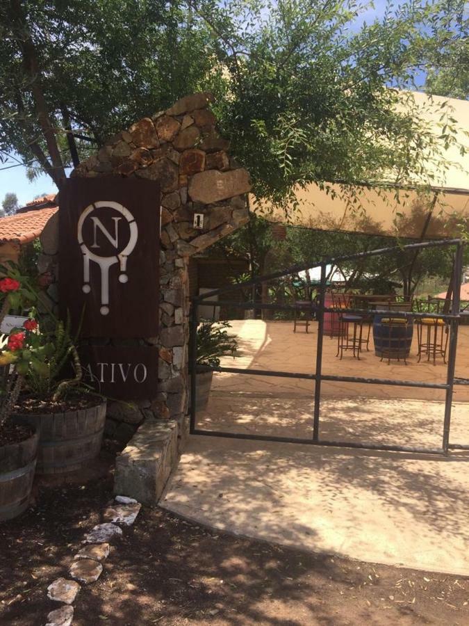Guest House Nativo - Charming, Cozy & Affordable Valle de Guadalupe Exteriör bild